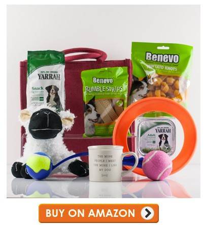 dog toy hamper