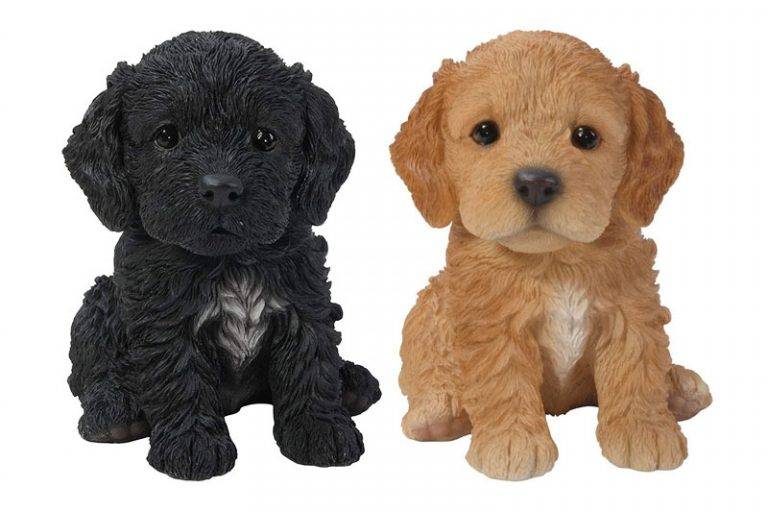 100 Cockapoo Male And Female Names Cockapoohq